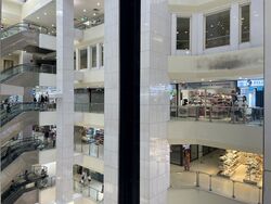 Lucky Plaza (D9), Shop House #448564221